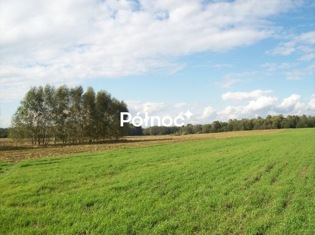 JANOWICZE. 3001 M2.