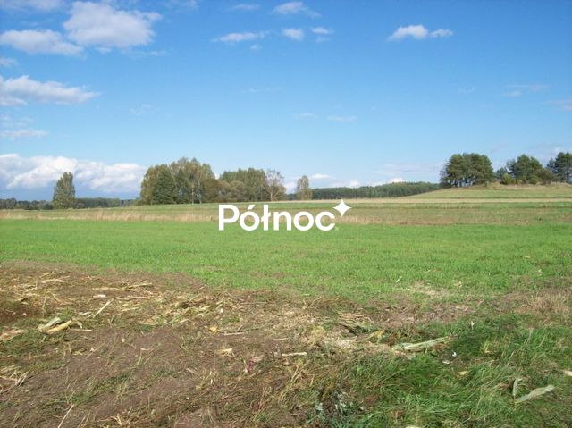 Zdjęcie 2