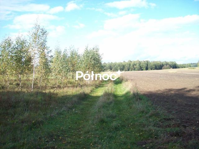 Zdjęcie 3