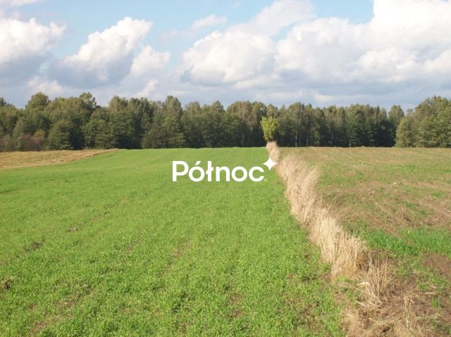 Zdjęcie 4