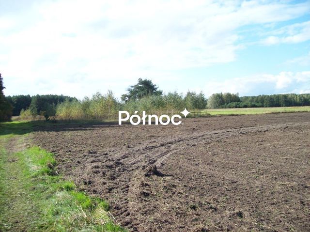 Zdjęcie 5
