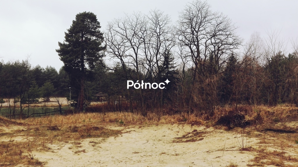 Zdjęcie 2