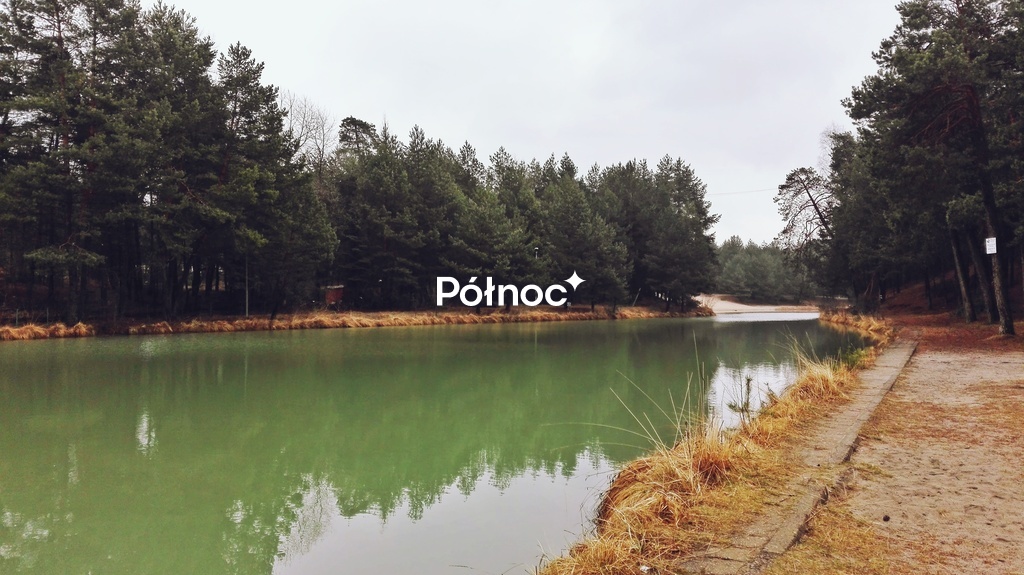 Zdjęcie 3