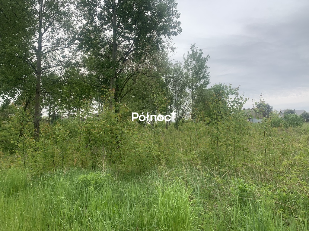 Działka budowlana 1 028 m², Gogołowa