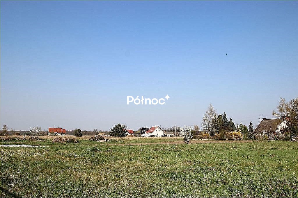 Zdjęcie 7