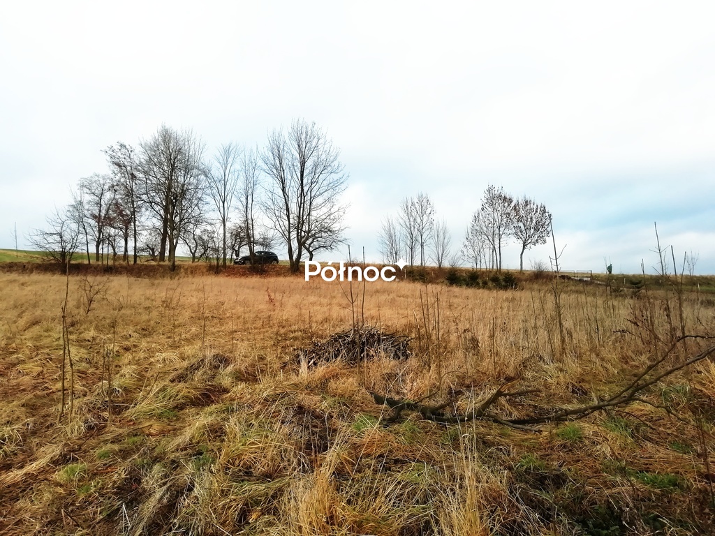 Działka budowlana i rolna 3 950 m², Sulisławice