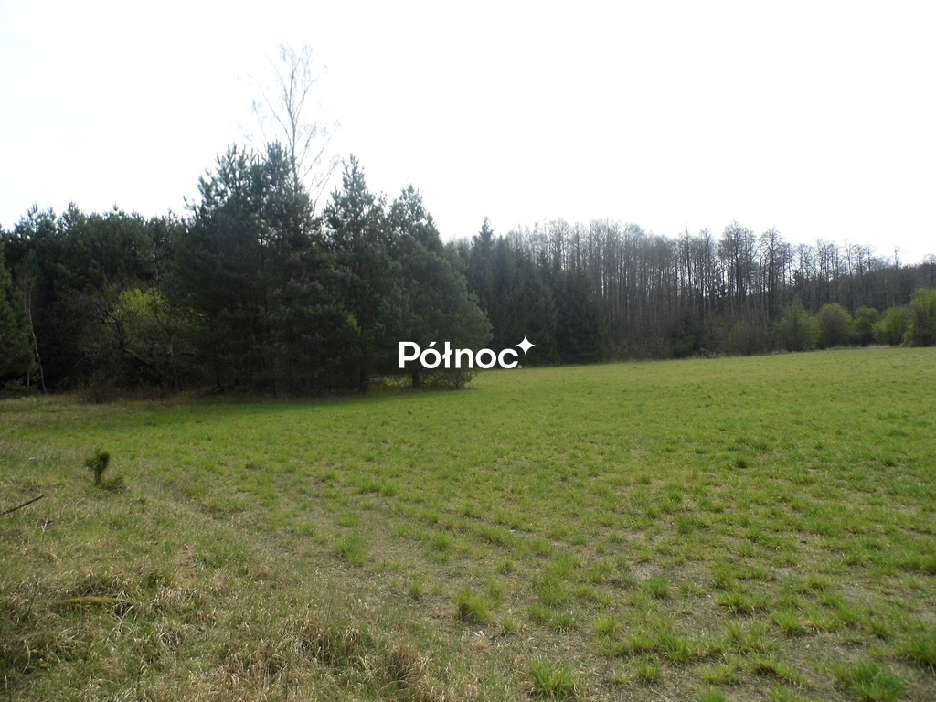 Zdjęcie 2