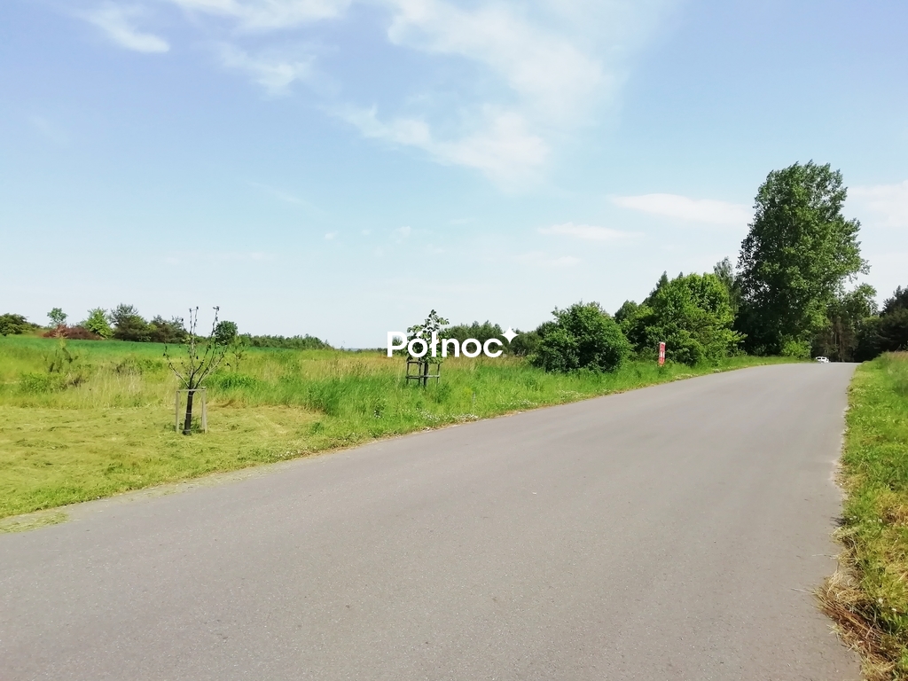 Zdjęcie 2