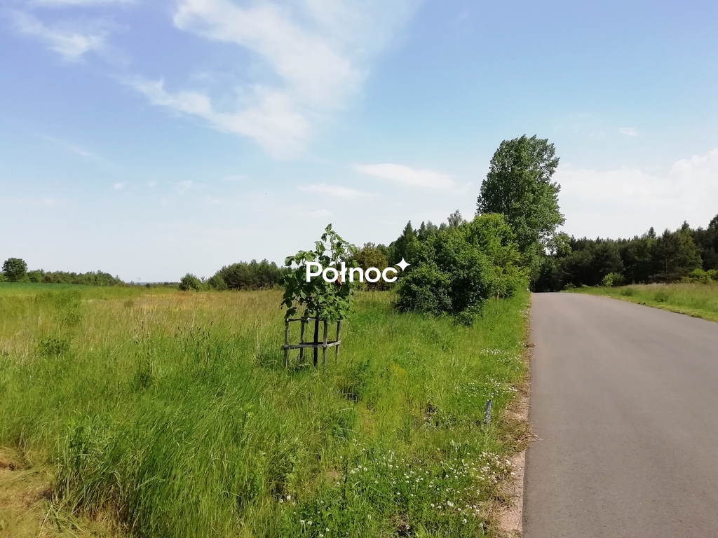 Zdjęcie 3