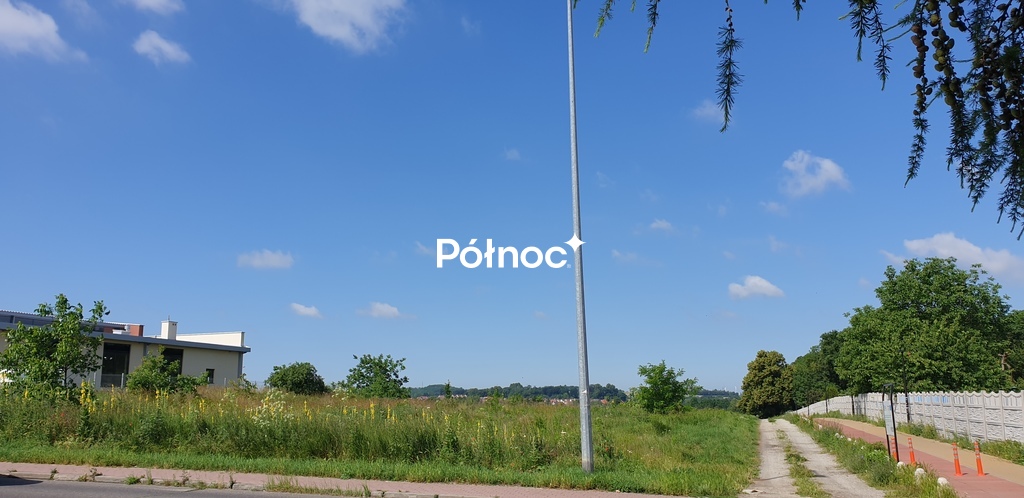 Zdjęcie 5