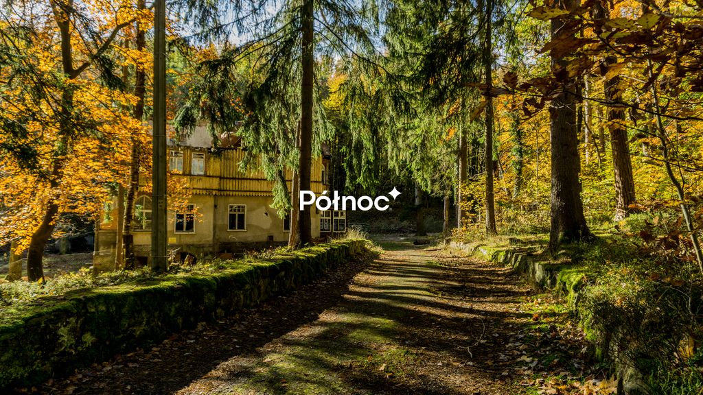 Działka inwestycyjna 7 998 m², Polanica-Zdrój