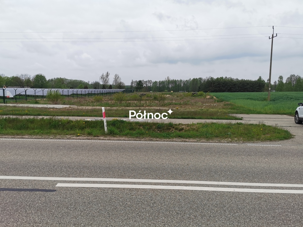 Zdjęcie 3