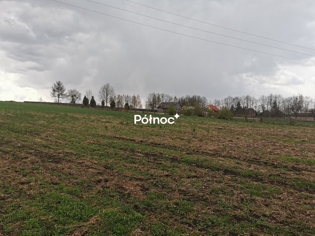 Zdjęcie 8