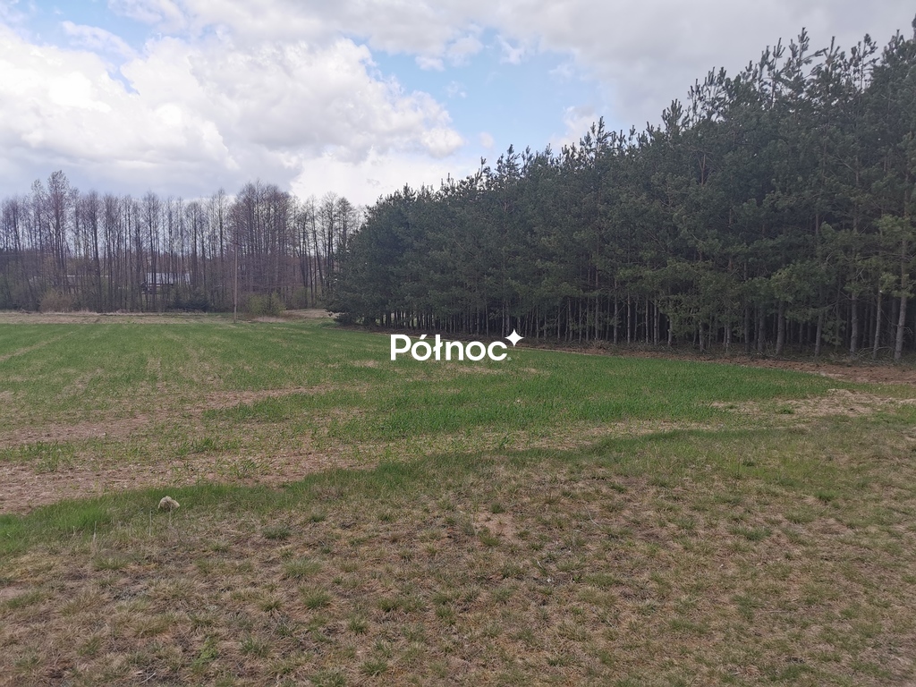 Zdjęcie 10