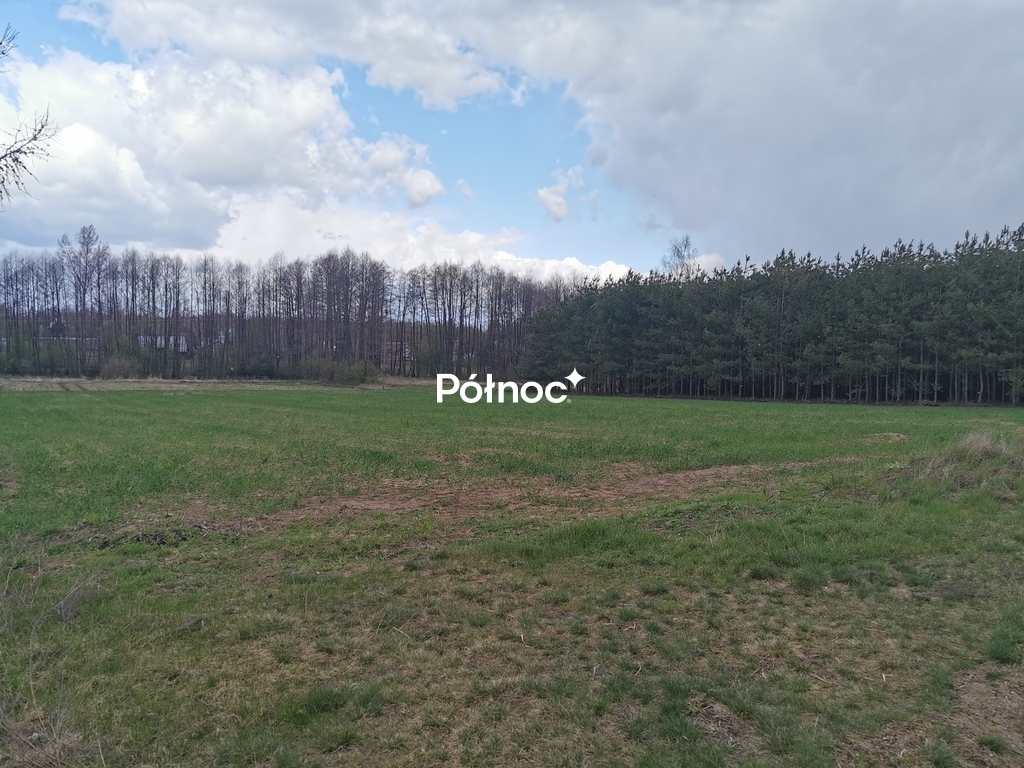 Zdjęcie 13