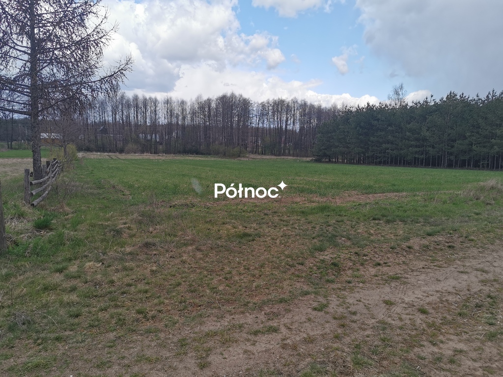 Zdjęcie 14