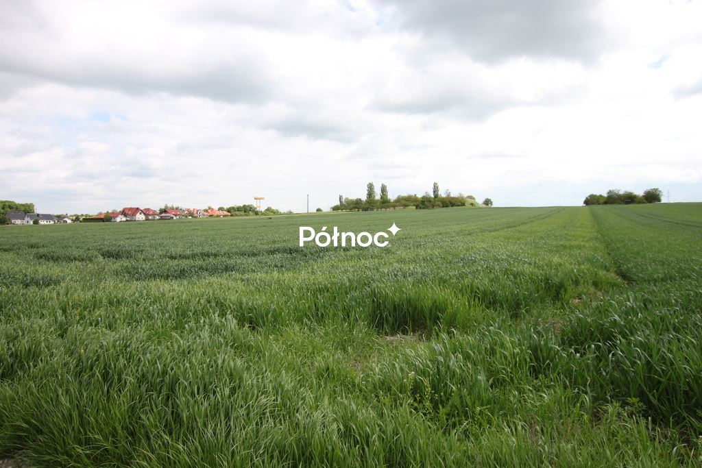 Zdjęcie 4