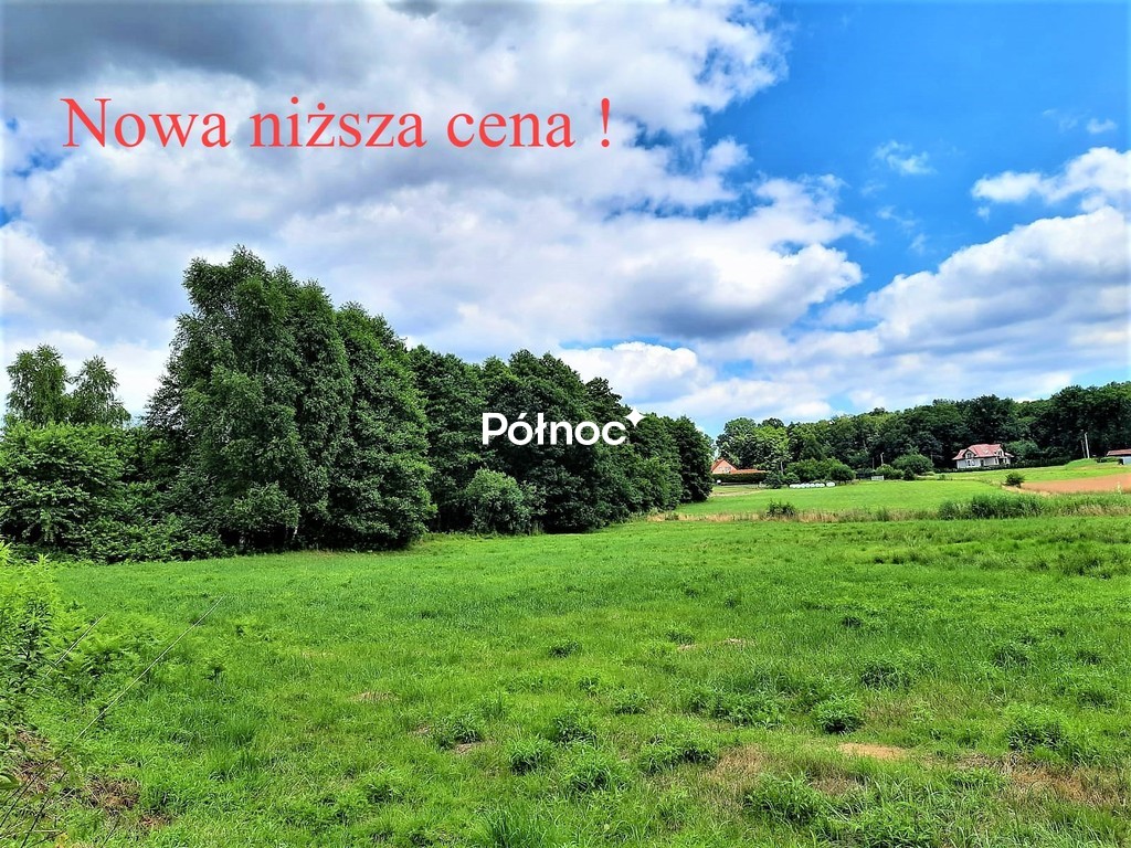 Działka rolna 5 045 m², Skrzyszów
