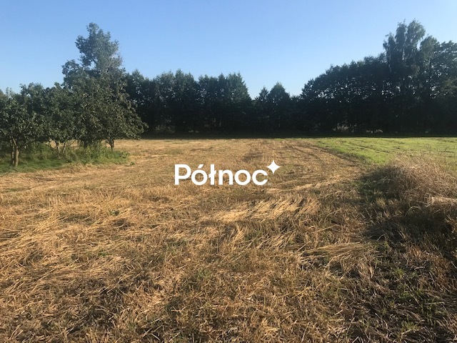 Zdjęcie 2