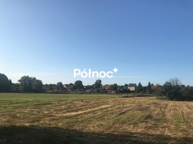 Zdjęcie 3