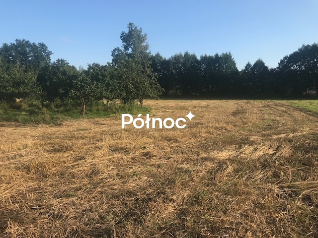 Zdjęcie 4