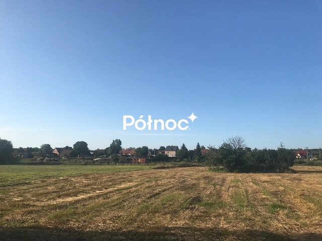 Zdjęcie 5