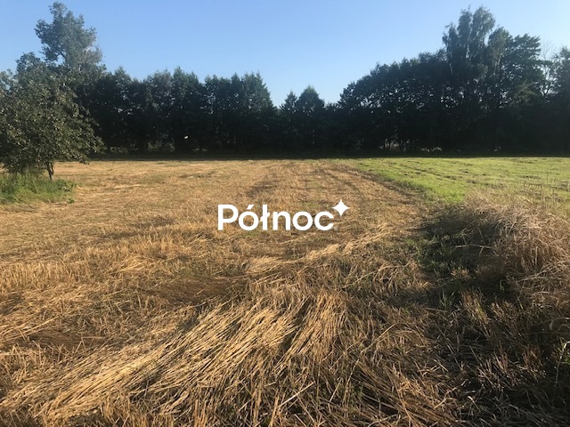 Zdjęcie 6