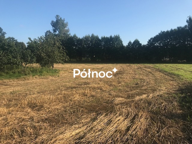 Zdjęcie 7