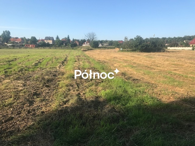 Zdjęcie 8