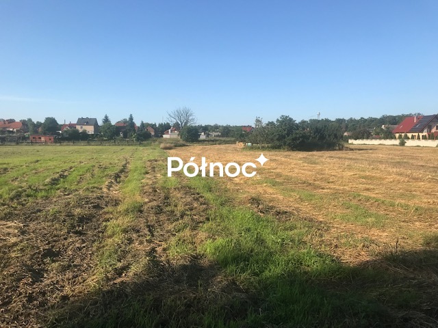 Zdjęcie 9