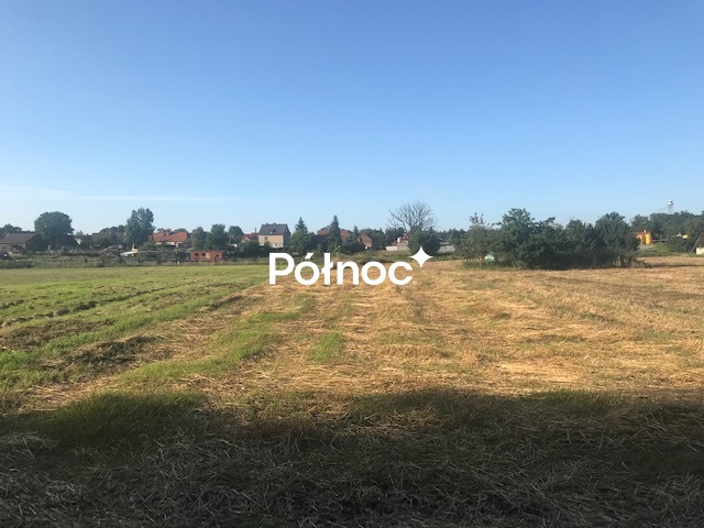 Zdjęcie 10