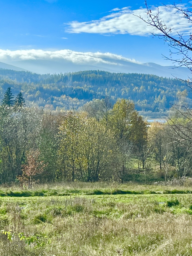 Działka inwestycyjna 3 000 m², Sosnówka