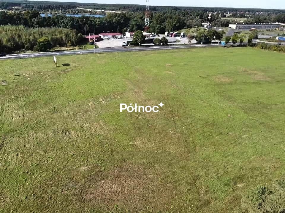 Zdjęcie 12