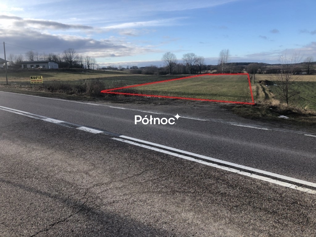 Zdjęcie 6