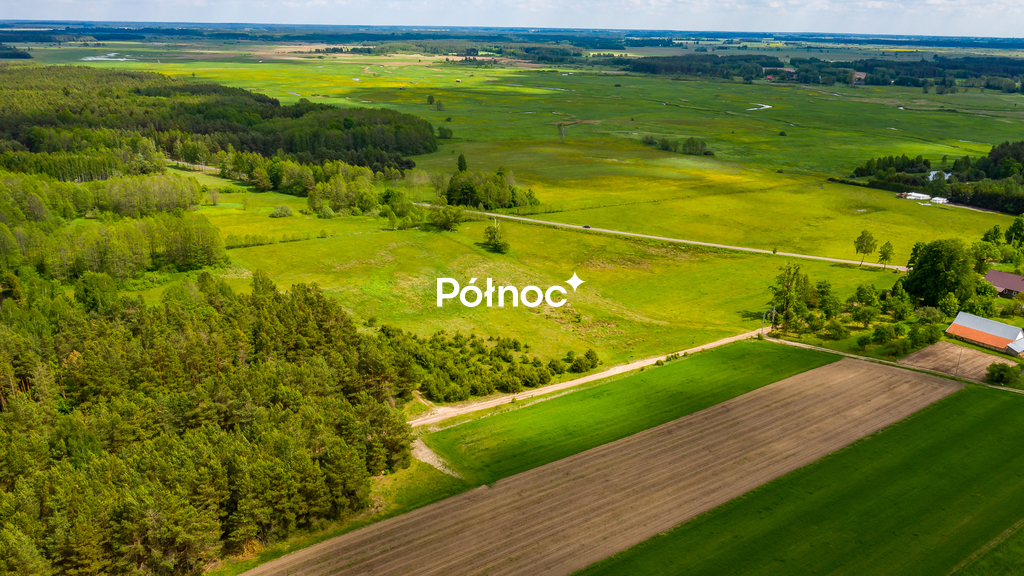 Zdjęcie 4