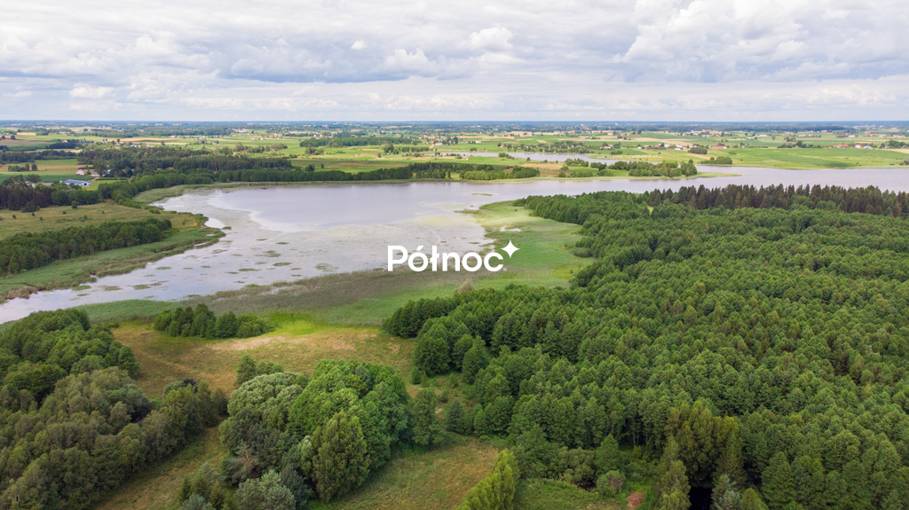 Zdjęcie 4