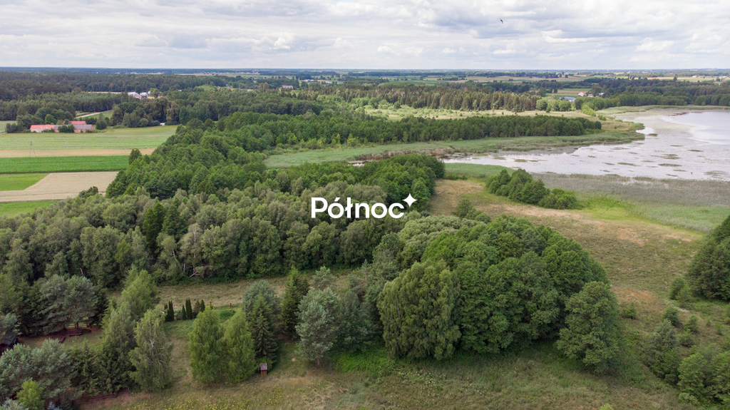 Zdjęcie 12