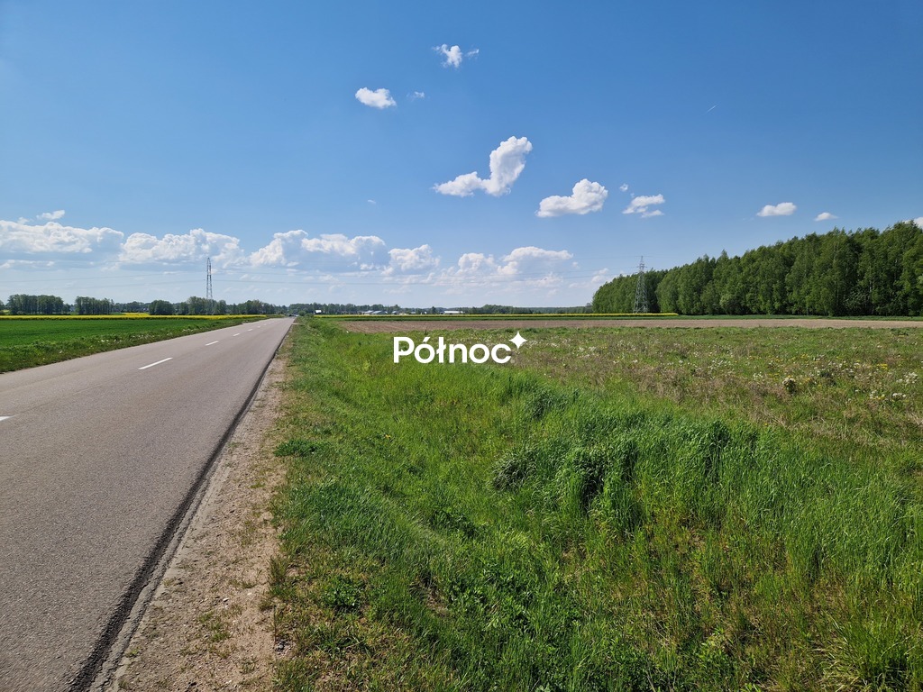 Zdjęcie 4
