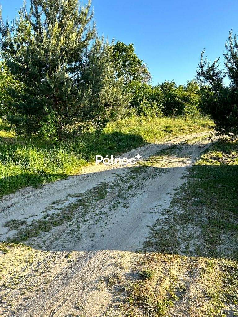 Zdjęcie 11
