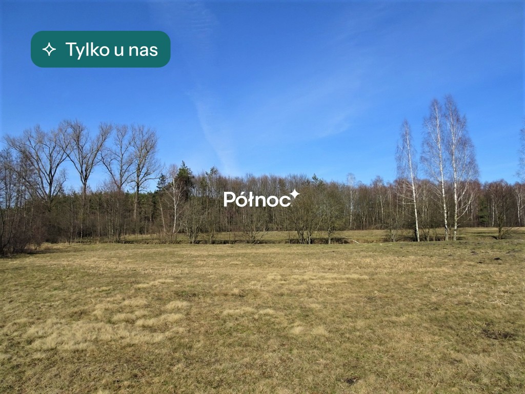 Łąka i las w Cieleśnicy