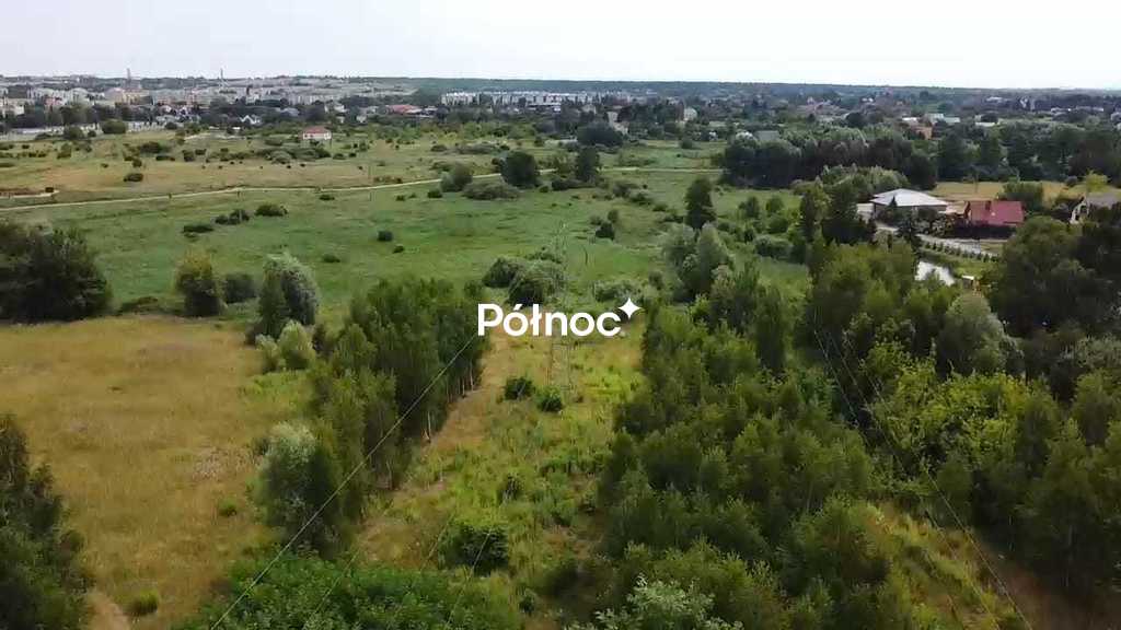 Zdjęcie 3