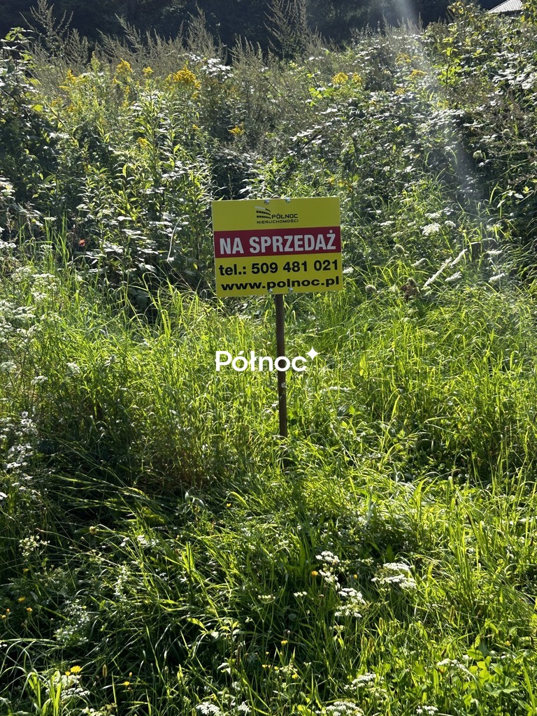 Zdjęcie 12