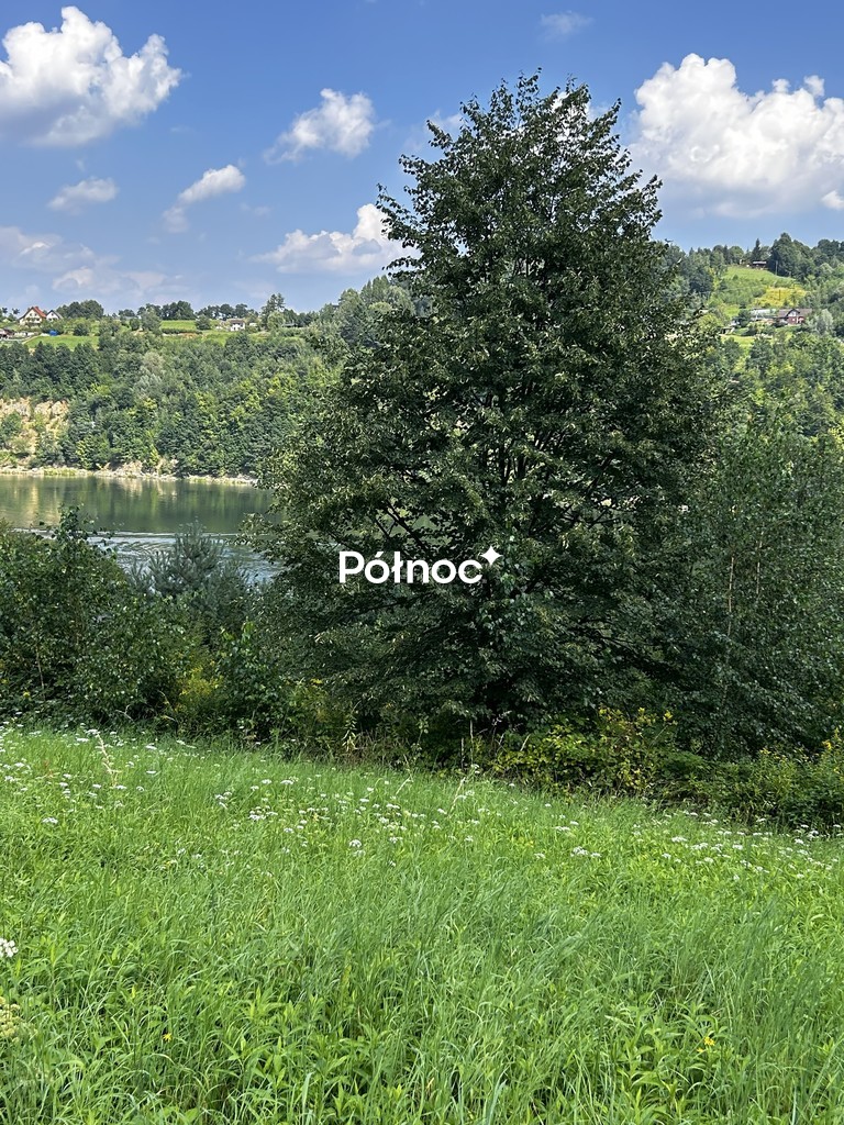 Zdjęcie 7