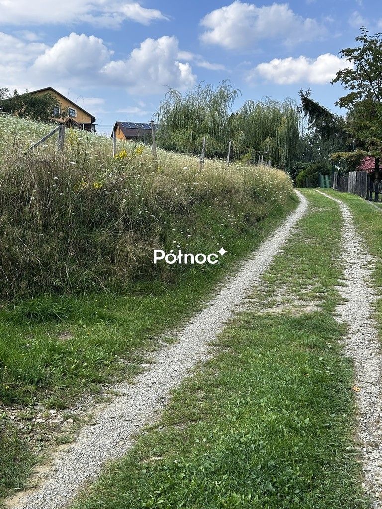 Zdjęcie 8