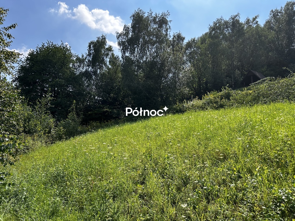 Zdjęcie 9