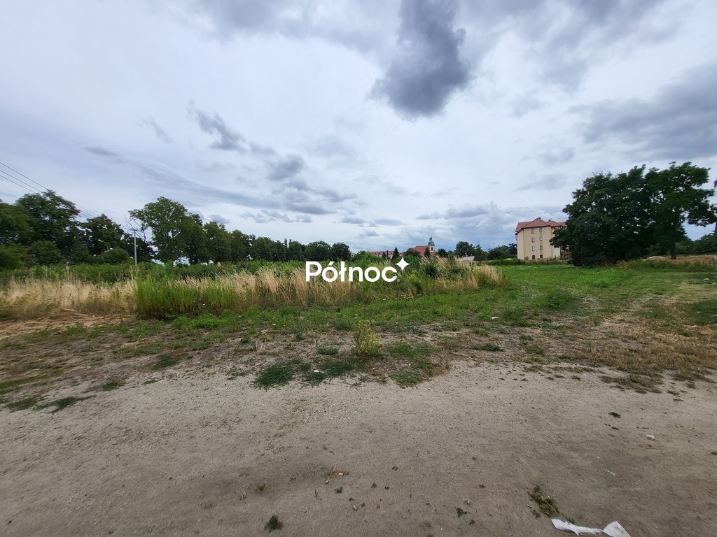 Zdjęcie 4