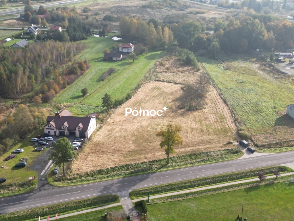 Zdjęcie 3