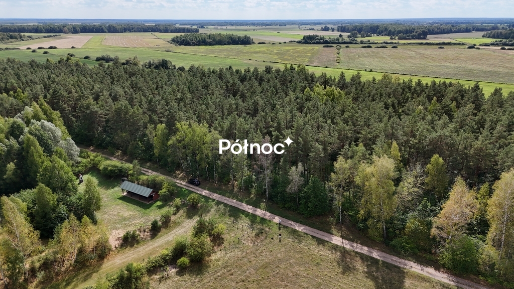 Zdjęcie 3
