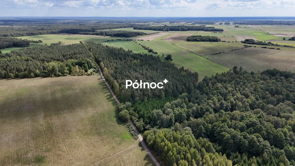 Zdjęcie 4