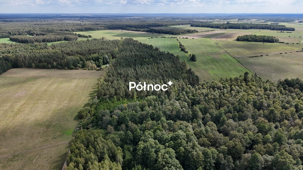 Zdjęcie 5